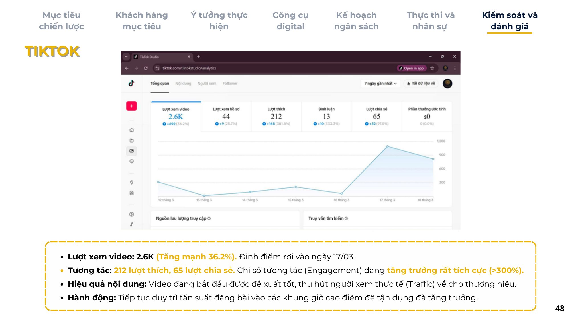 Báo cáo kết quả TikTok